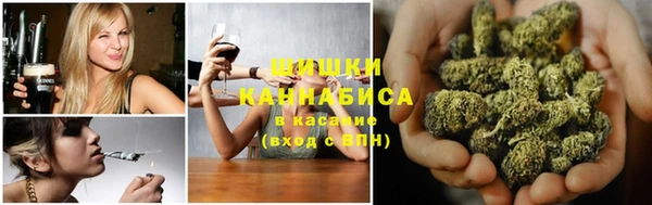 Альфа ПВП Гусиноозёрск
