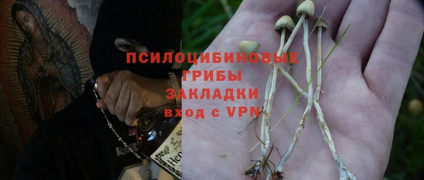 герыч Дмитриев