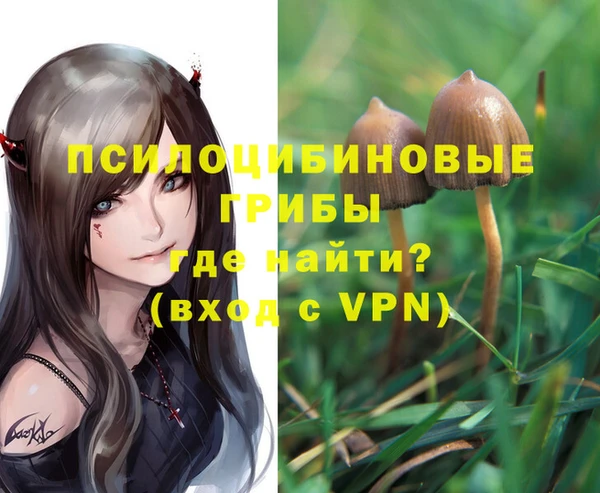 Альфа ПВП Гусиноозёрск