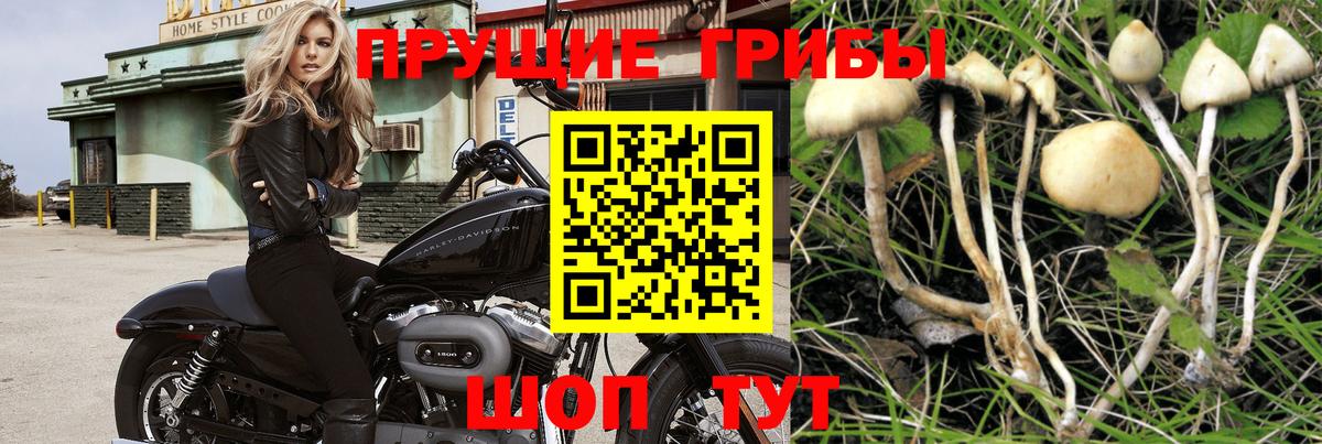 Галлюциногенные грибы MAGIC MUSHROOMS  Дмитров 