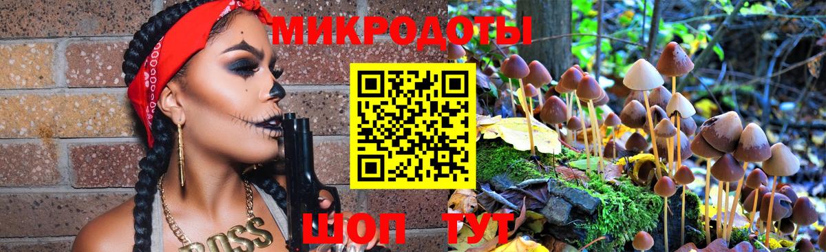 Галлюциногенные грибы Psilocybe Дмитров