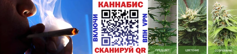 МЕГА зеркало  Дмитров  Бошки марихуана семена 